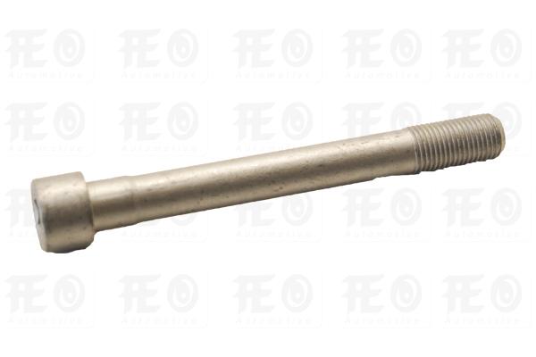 HM-1112:H100 SİLİNDİR KAPAK VİDASI (22321-42001)